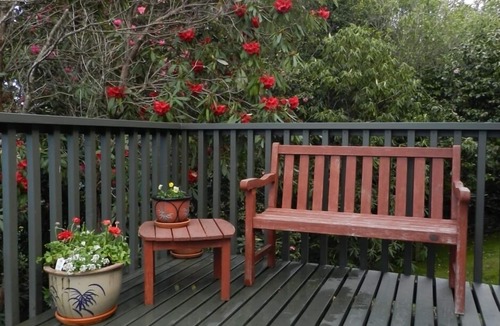 Lake Tarawera House | Tui Glen - Lake front bach with stunning views