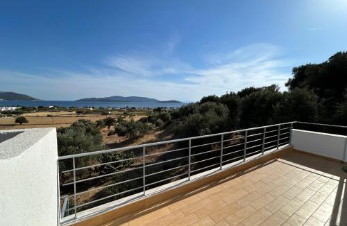 Karystos Apartment | Tzaferi Olive Apartments