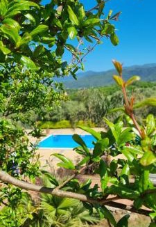 Bagnara Calabra Bed & Breakfast | Uliveto Garden