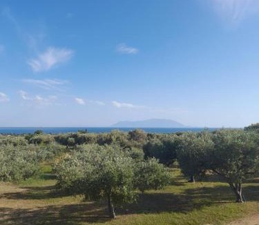 Alexandroupoli House | Ulivi e Mare