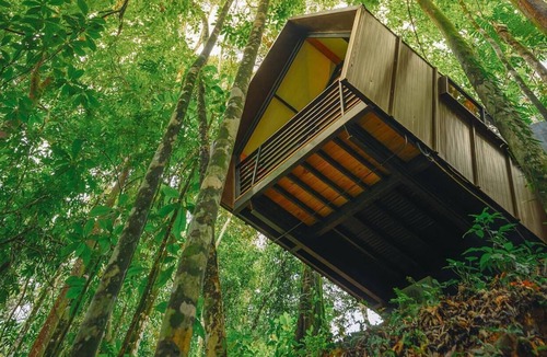 Ojochal Villa | Unique Jungle "Nest". Unplug. Unwind. Renew in a World-Class Yoga Retreat Property
