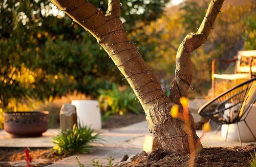 Blackmans Bay House | Urban farm stay with water views