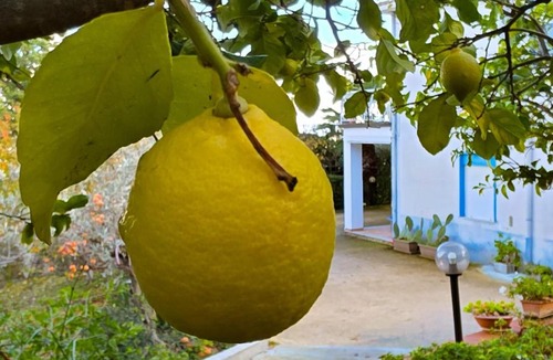 Cammarata House | Valateddi