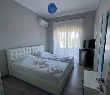 Tushemisht House | Vila Gregor
