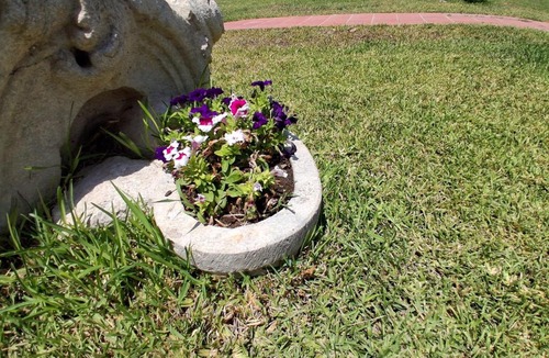 Paceco Bed & Breakfast | villa amodeo