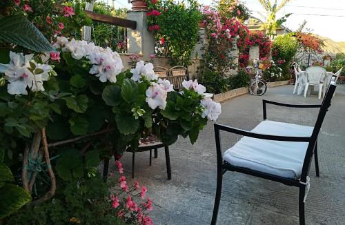 Bova Marina Bed & Breakfast | Villa delle rose