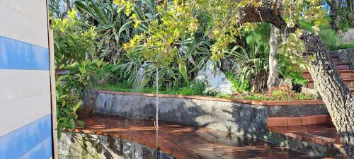 Ragalna House | Villa Etna
