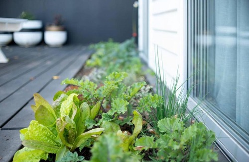 Invermay Apartment | VILLA GWEN: Stunning Character Home Only Moments From The City