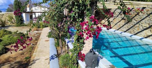 Drafaki Villa | Villa Oasis A magical Garden in Mykonos Town