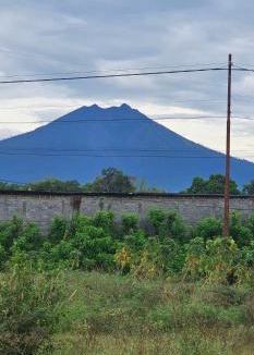 Banyuwangi Villa | Villa puncak Terang
