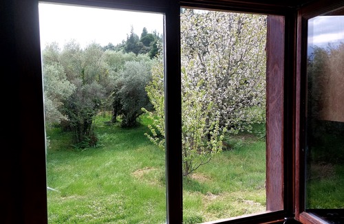 Aristotelis Villa | Villa with garden view and 150m from the beach