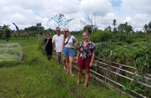 Batukliang Bed & Breakfast | Village house Lombok