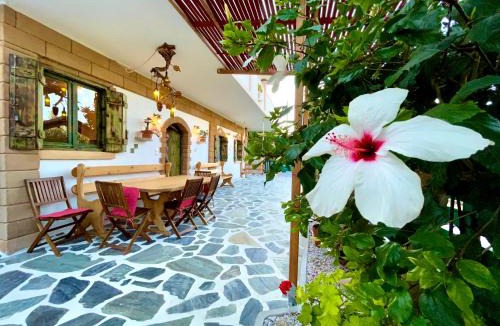 Kotsiana Apartment | Village Villa Mimis Drapanias