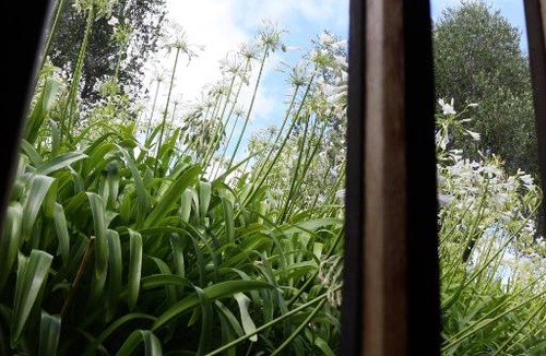 Helensville Hotel | Vineyard Cottages - Kumeu
