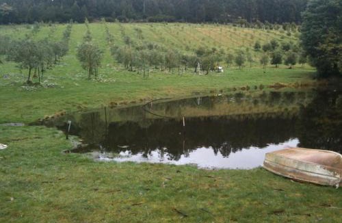 Woodbridge Bed & Breakfast | Wanderers Cottage