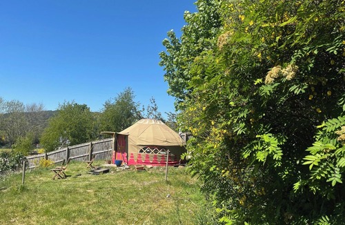 Contin Cabin | Yurt Retreat - Overlooking the River Blackwater