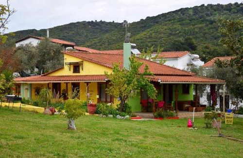 Troulos House | Zina's House