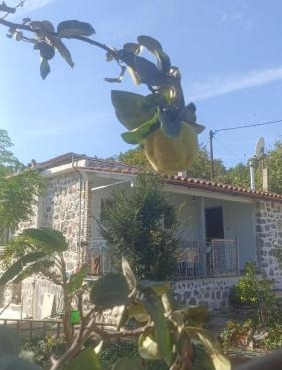 Παραδοσιακή Κατοικία