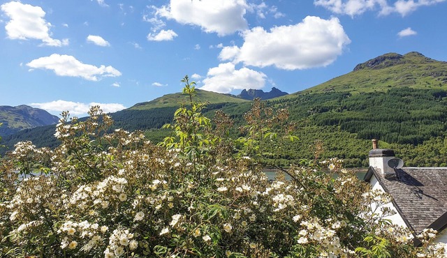 5 bedroom accommodation in Arrochar