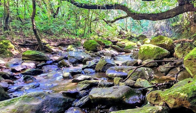 A beautiful mountain home in the paradise of Gosén where you can enjoy nature.