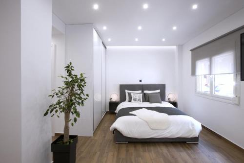 (A) Koukaki, A modern, newly refurbished Studio