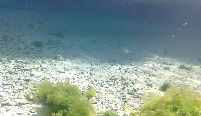 Accommodation 50 mt. from the sea, 5 minutes from Gallipoli and the Salentine Maldives