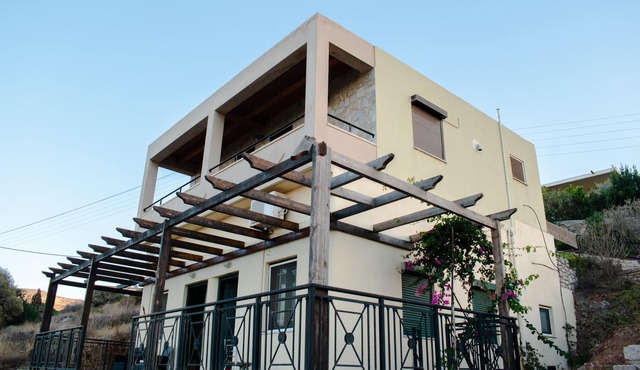 Aloni Studios