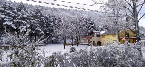 Amarantos