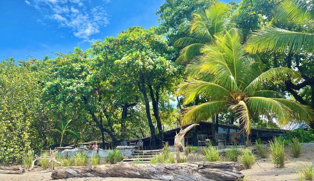Amazing beach front House - fairytale beach view, ocean view, steps to water,