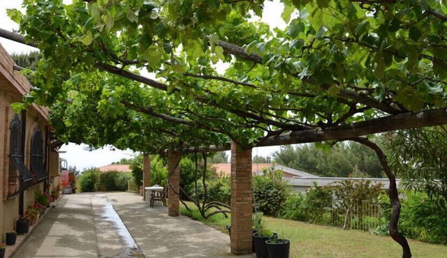 Apartment-Apartment-Shared Bathroom-Garden view-Ginestra
