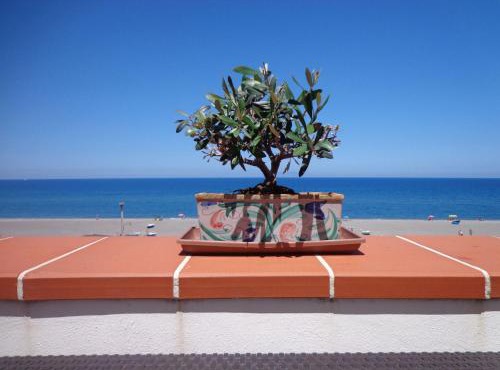 Apartment Charmante Wohnung in Marchesana mit Terrasse by Interhome