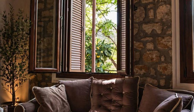 Arta Wood Stone Traditional Villa Central Stay