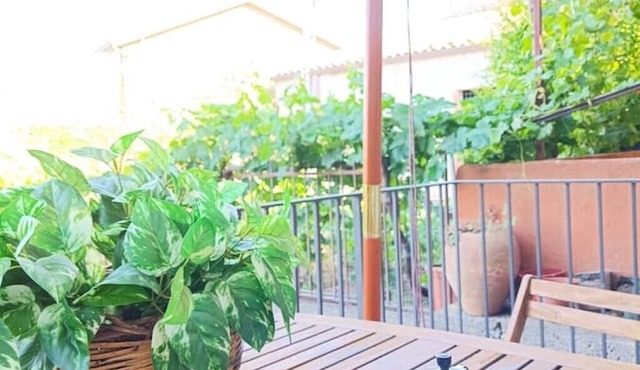 Aunt Pina's Palmento. Quiet house with garden at the foot of Mount Etna.