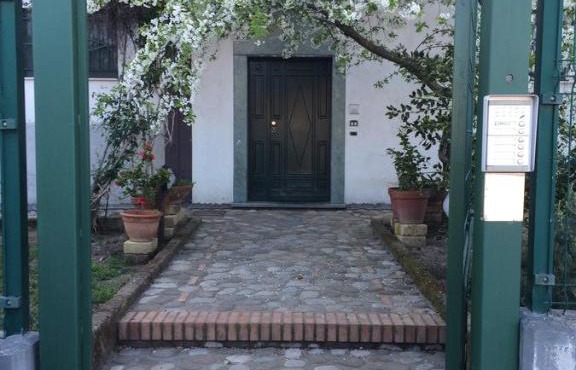 B&B Camelie