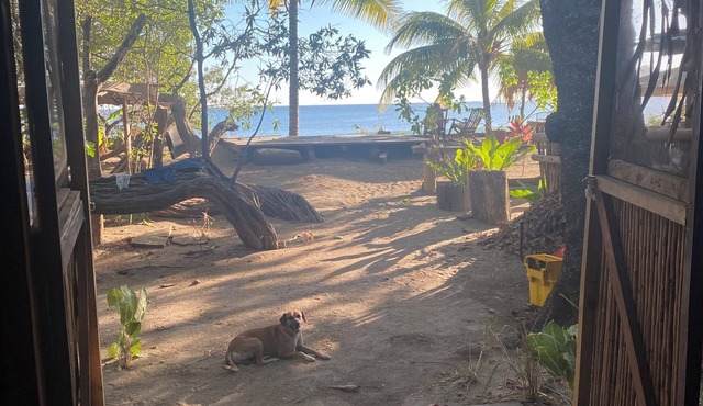 Bamboo Beach Bungalow