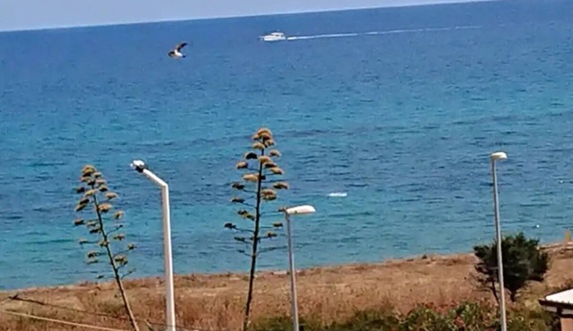 Bruzzano Zeffirio: apartment with stunning sea views - 2 rooms - 4/5 personsAppartamento di lussoCasa con giardino(Guida)