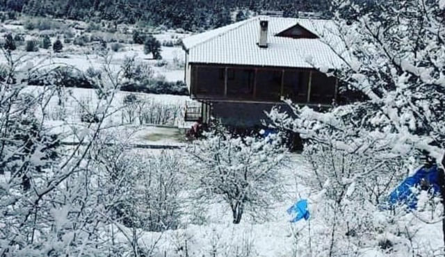Bujtina Vila Dodo