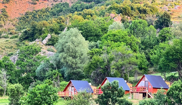 Camping, Nature, Hiking, Horse, Organic Food