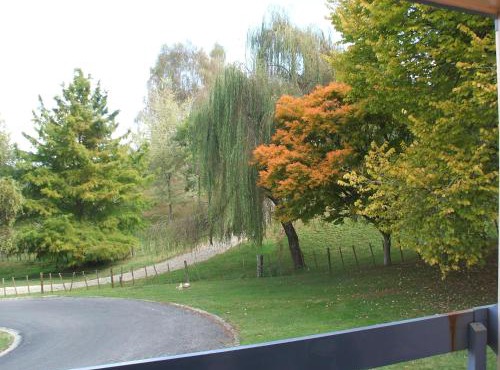 Caves Motor Inn Waitomo