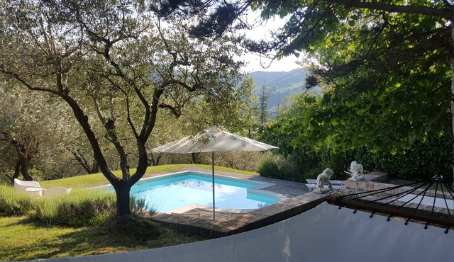 Charming vacation home with pool, sun deck and olive grove in Emilia Romagna