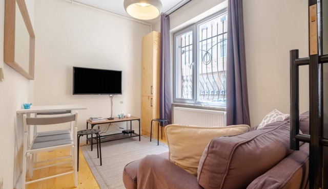 Comfortable Flat in the Heart of Cihangir