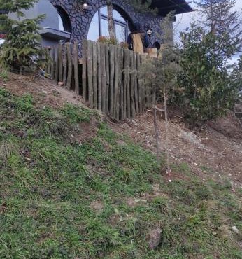 Dağevimsakarya