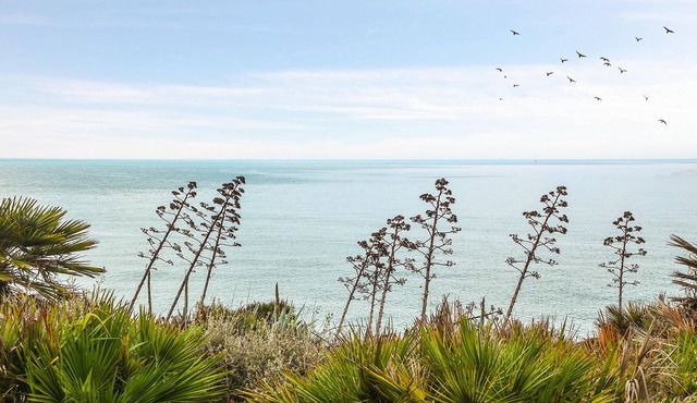 Enjoy sunny days by the crystal-clear sea in this apartment just a few steps from the beach.