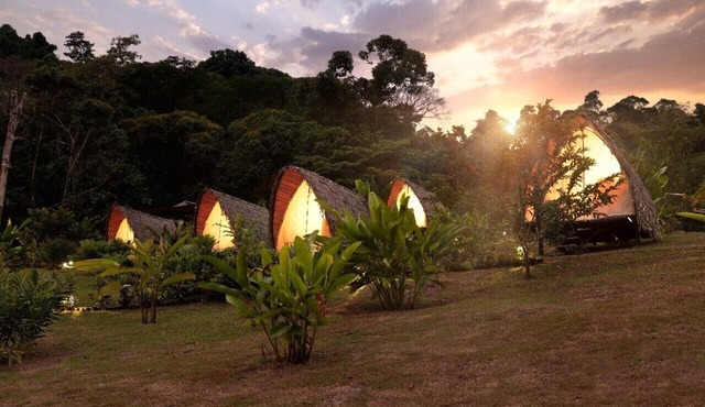 Esquipulas Rainforest