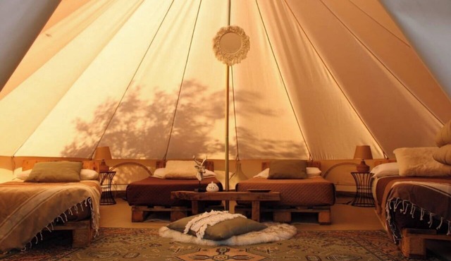 Glamping Bell Tent for 4 | Family, Donkeys & Olive Grove, Calabria