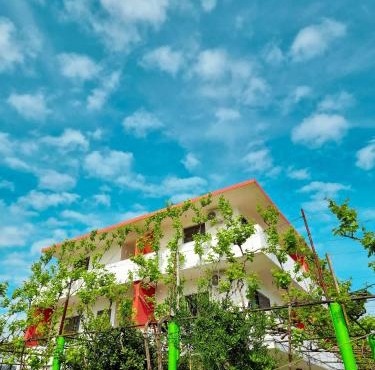 Green Villa