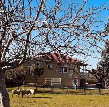 Hercules casa