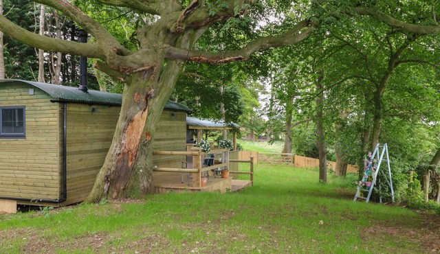 HIGH RIGG SHEPHERD'S HIDEAWAY, pet friendly in Brampton, Cumbria