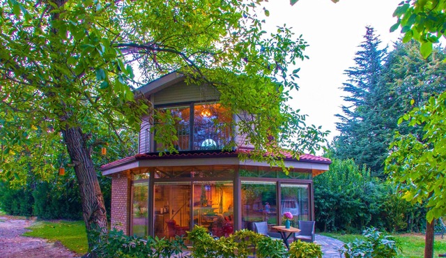 Junior Garden Villa