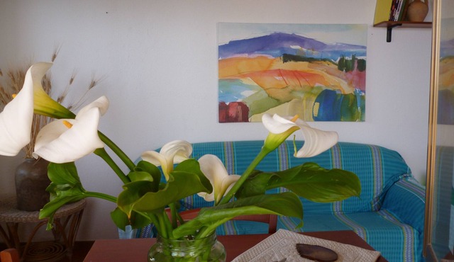 LA CASA DELL OLMO apartment overlooking the sea and the Aeolian Islands, Zambrone Marina / Tropea